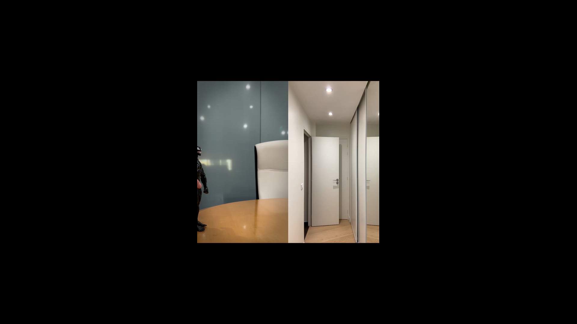 Execution Video