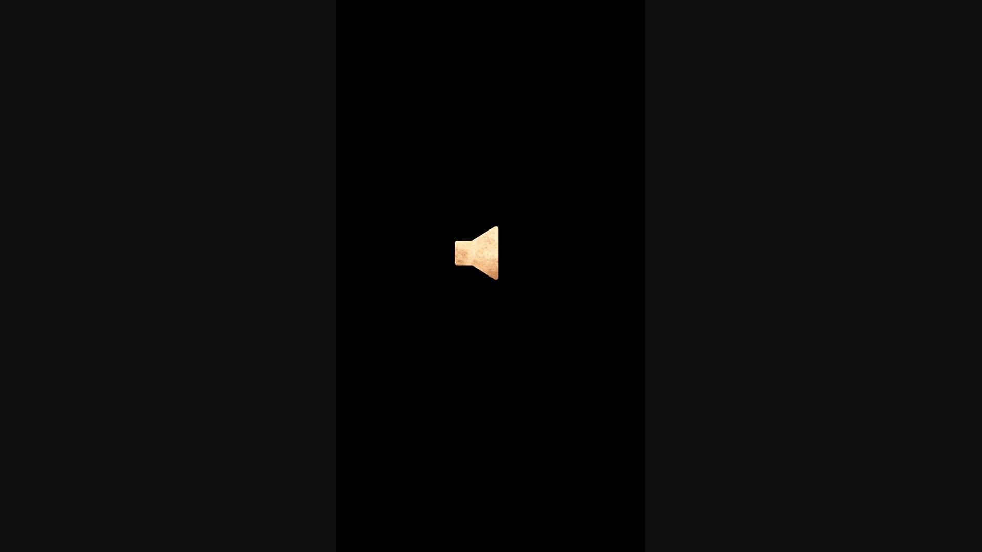 Execution Video