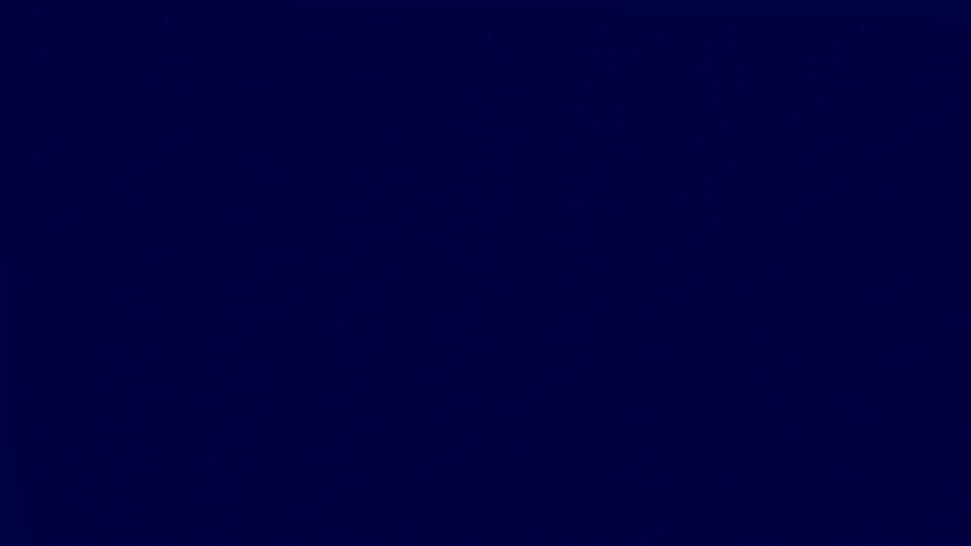 Execution Video