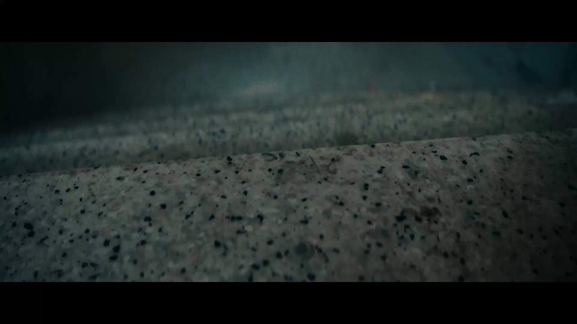 Execution Video