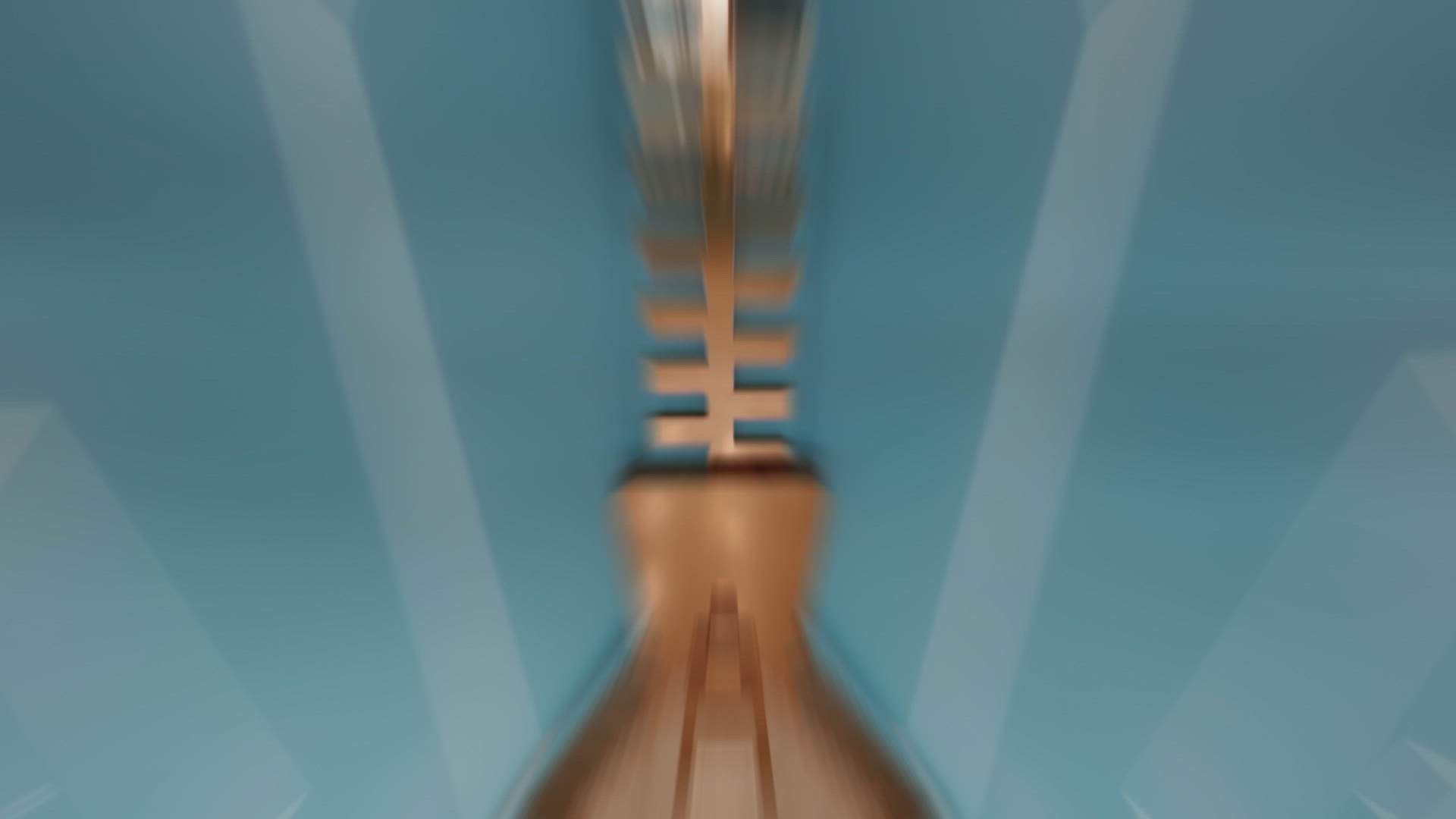 Execution Video