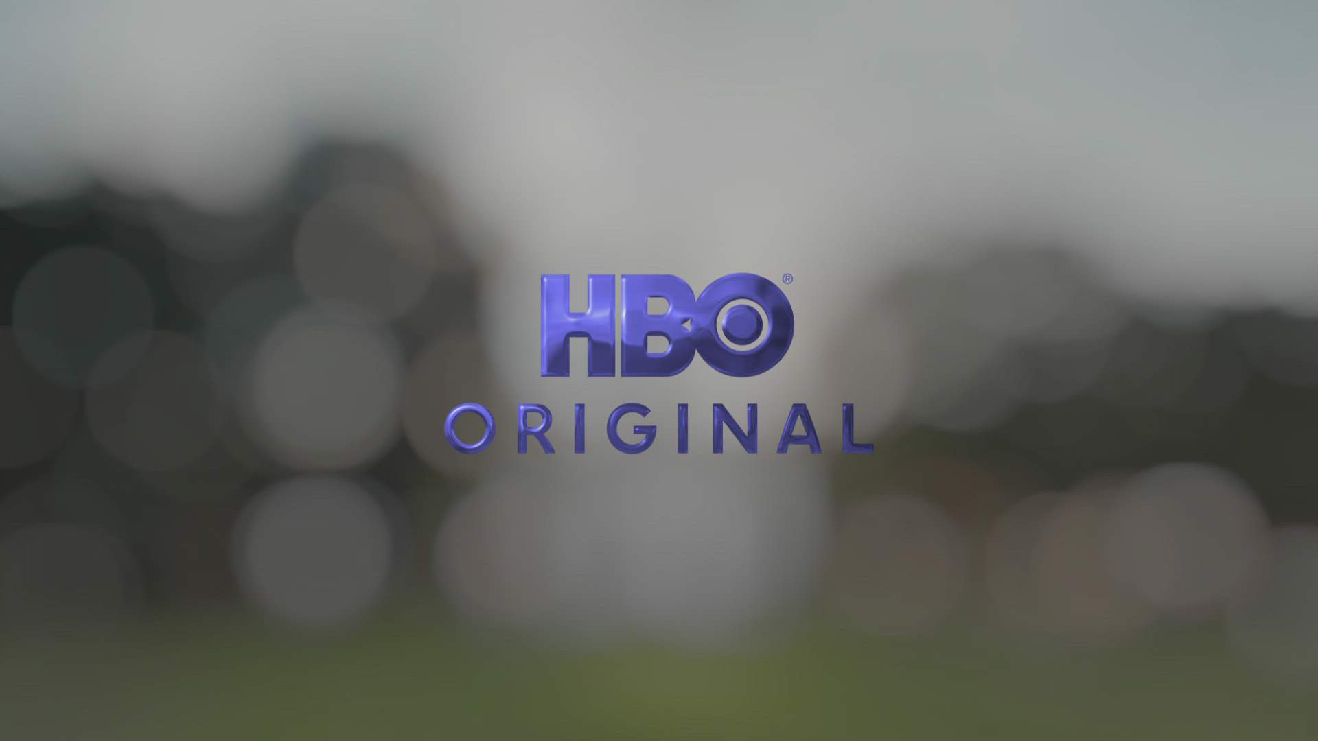 Execution Video