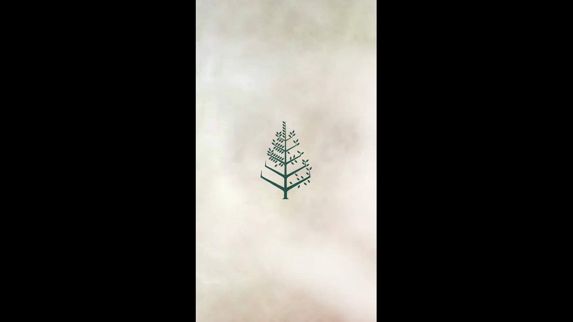 Execution Video