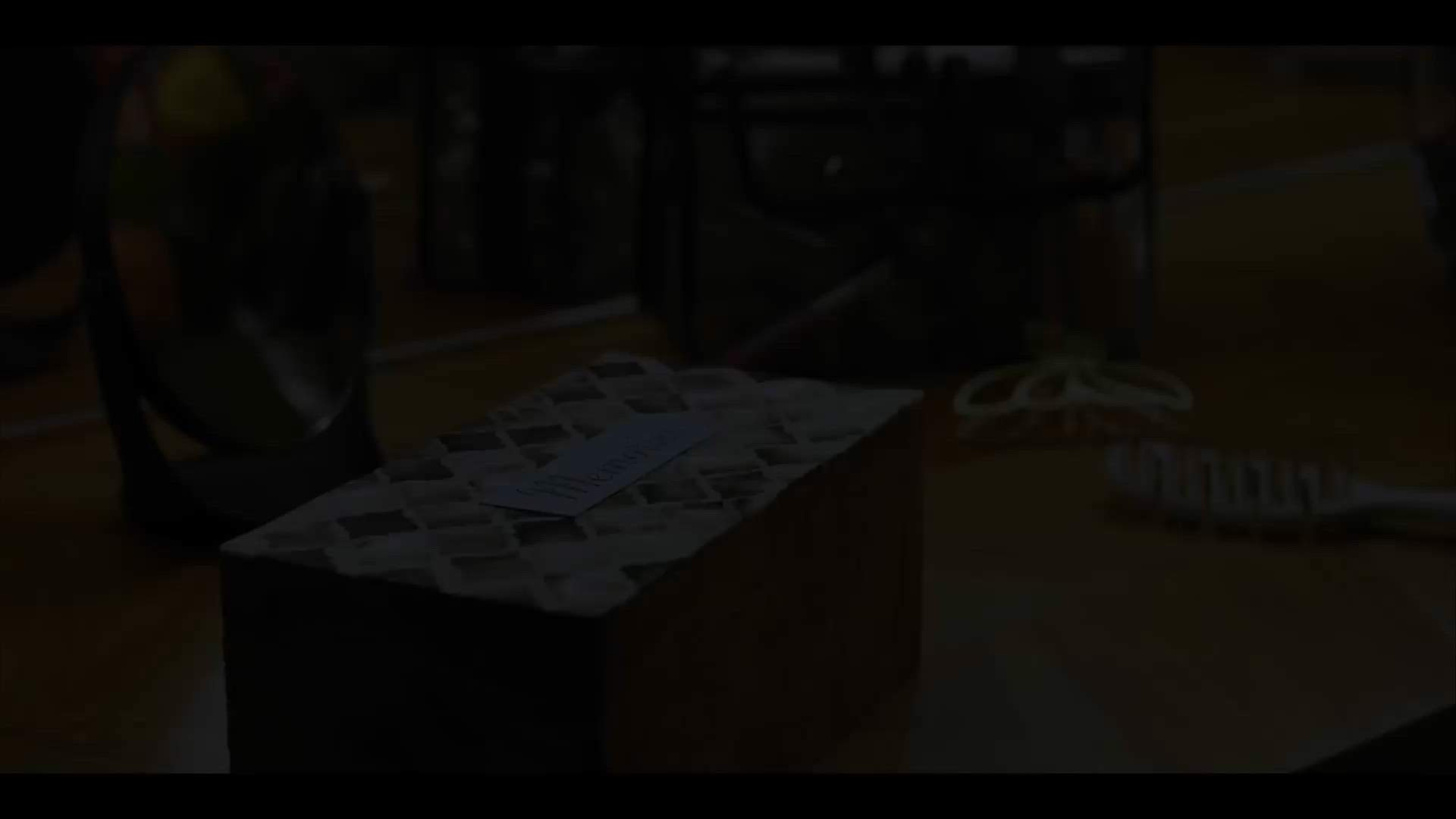 Execution Video