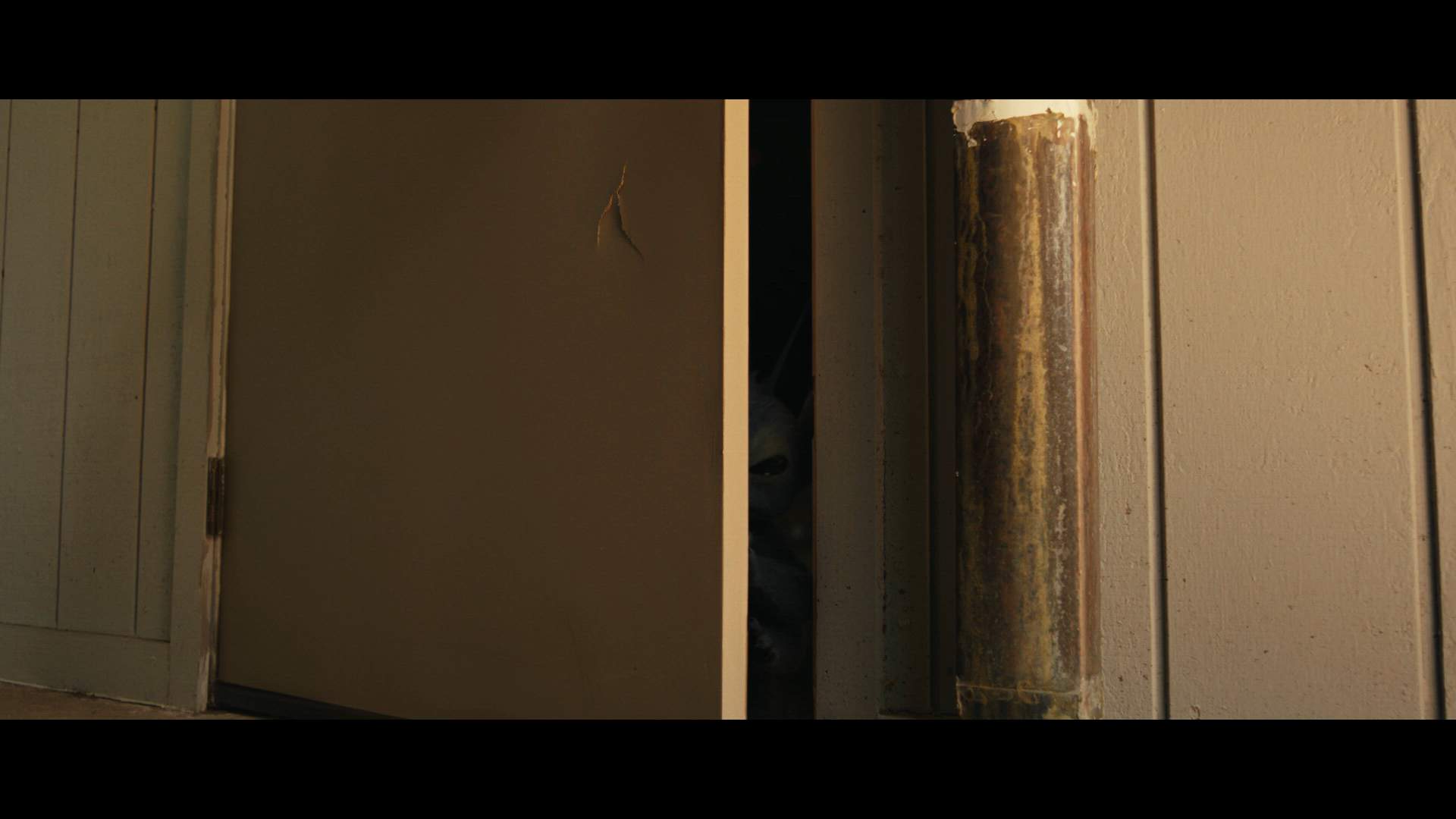 Execution Video