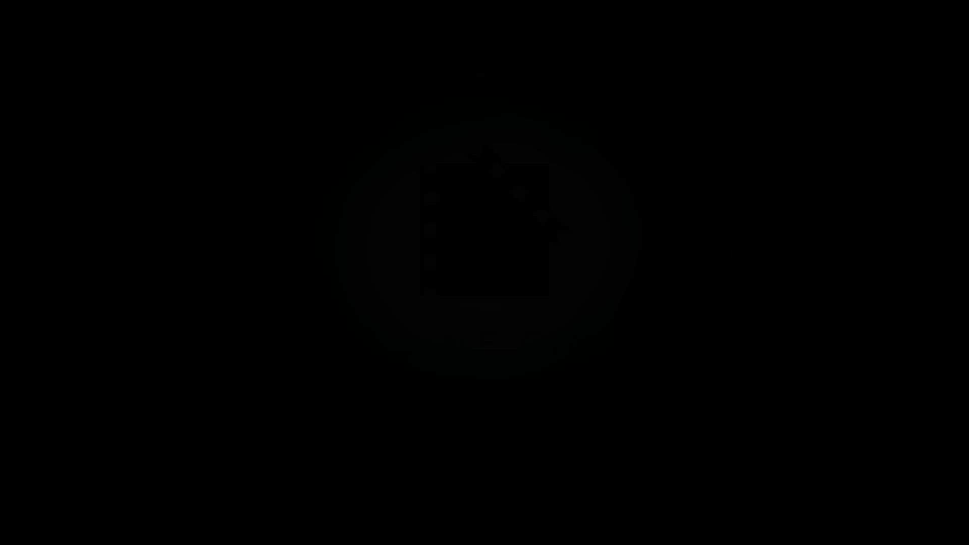 Execution Video