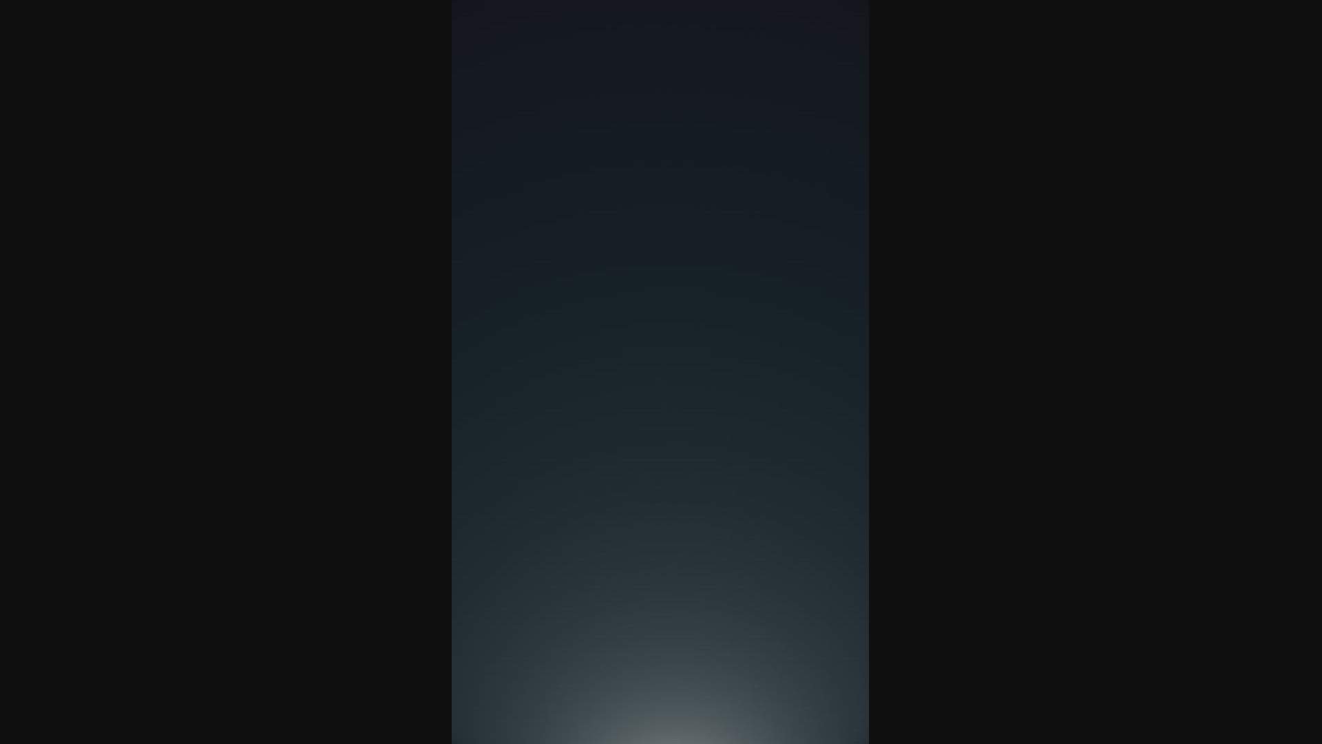 Execution Video