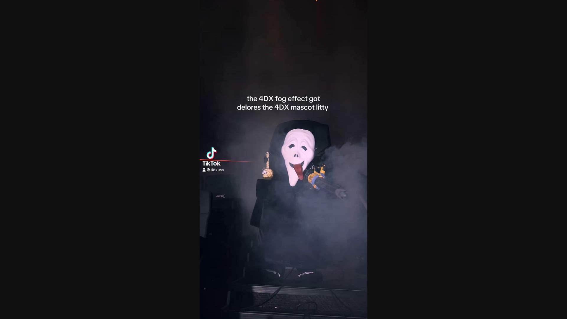 Execution Video