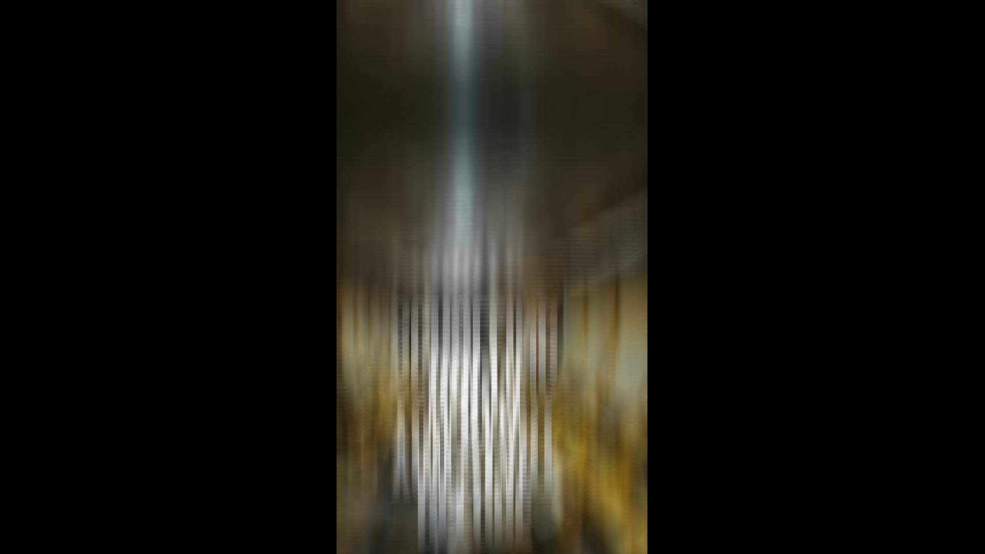 Execution Video