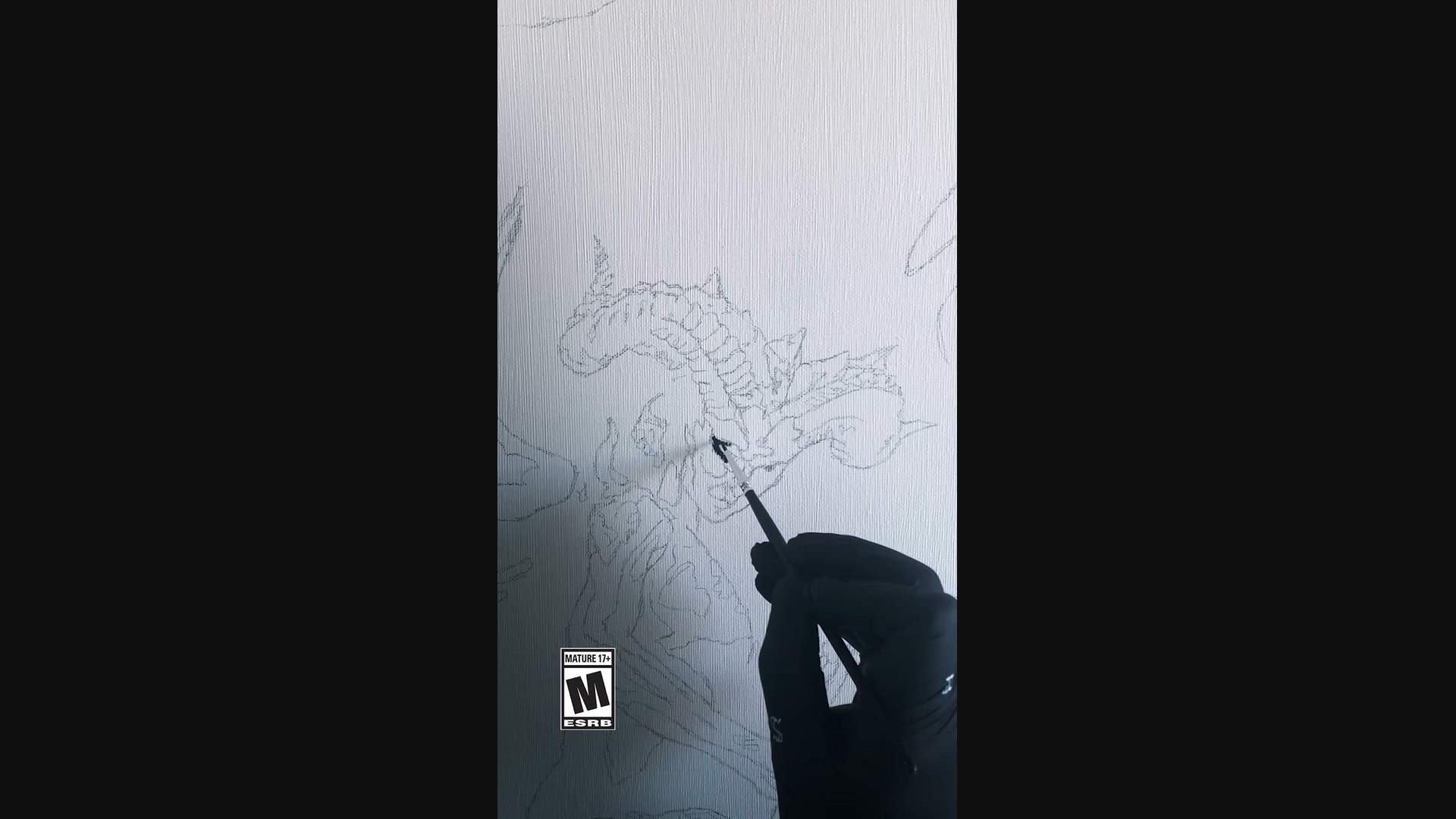 Execution Video