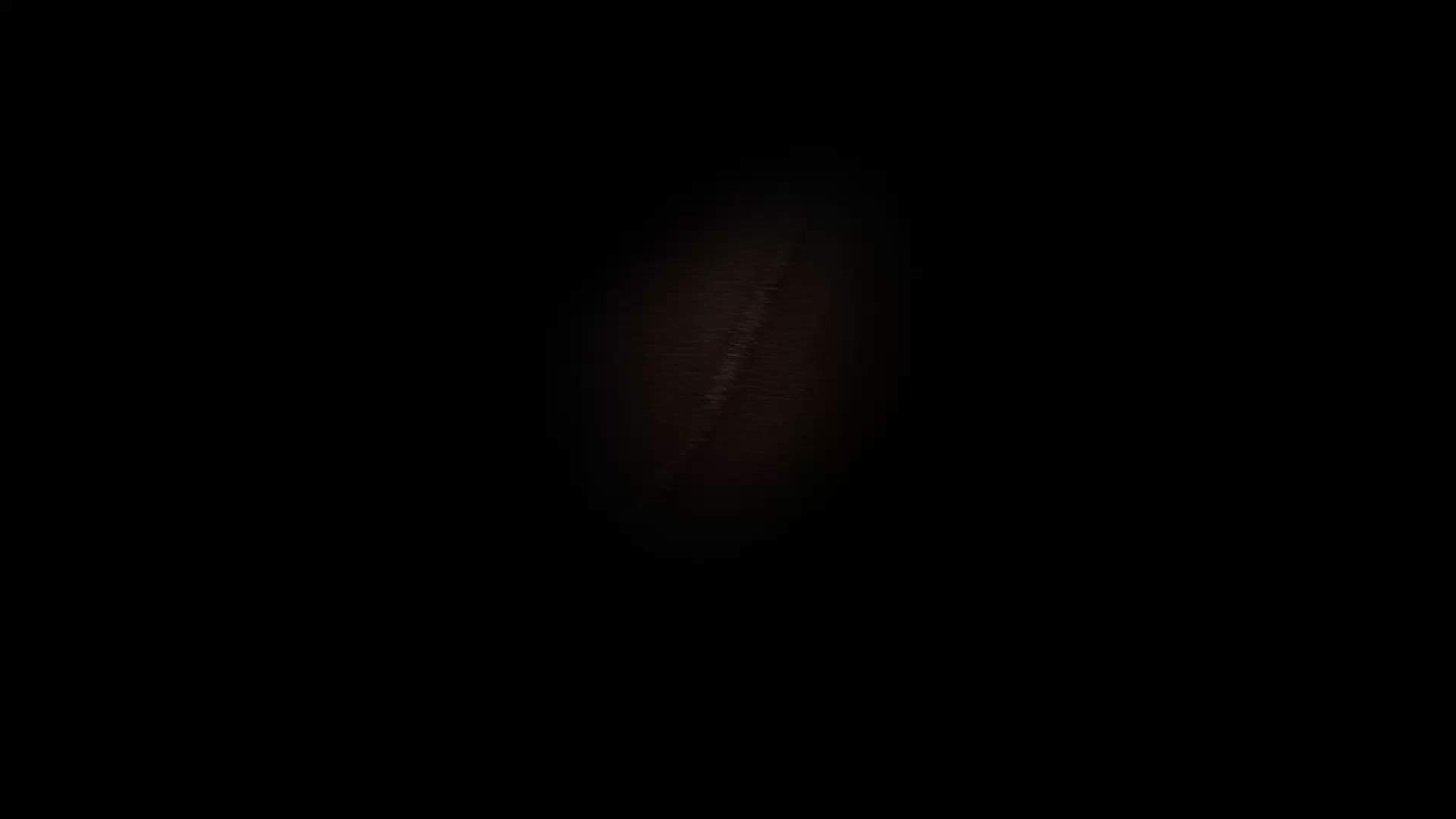 Execution Video