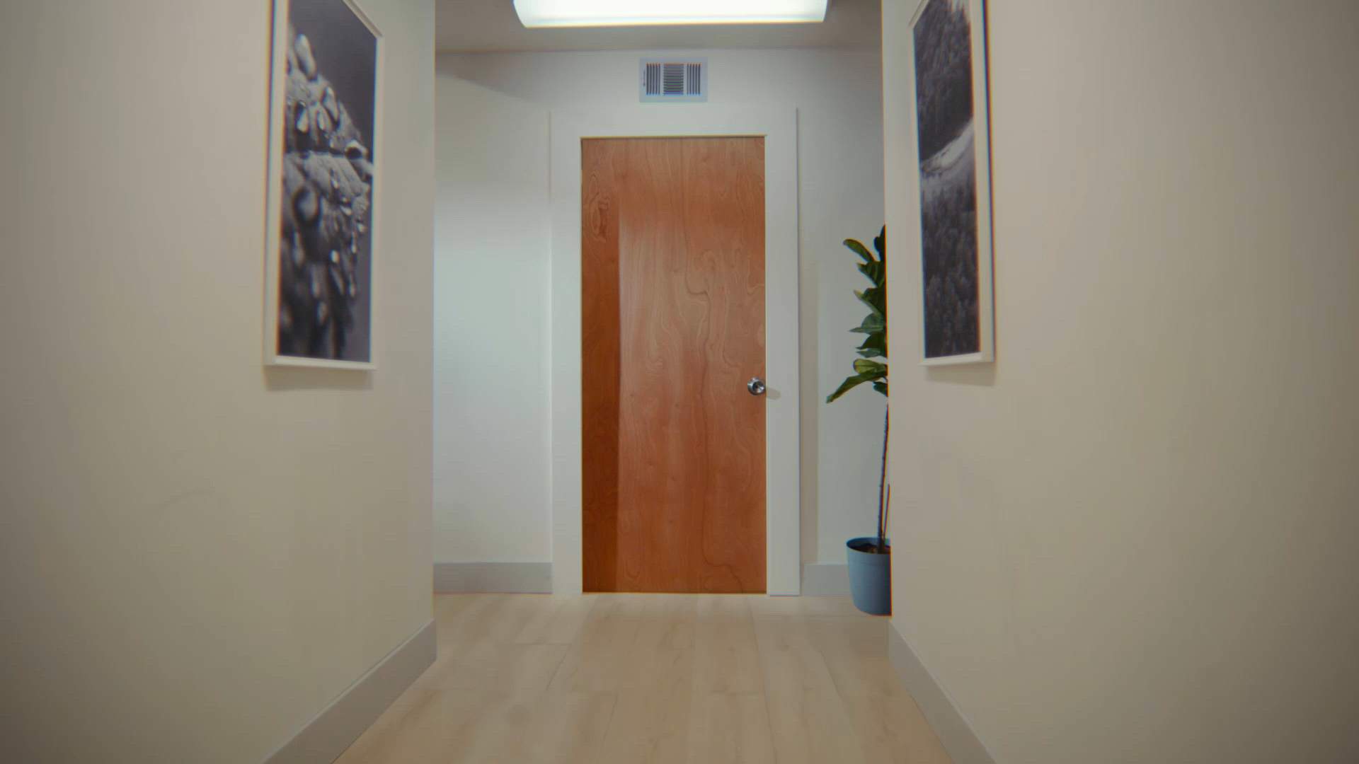 Execution Video